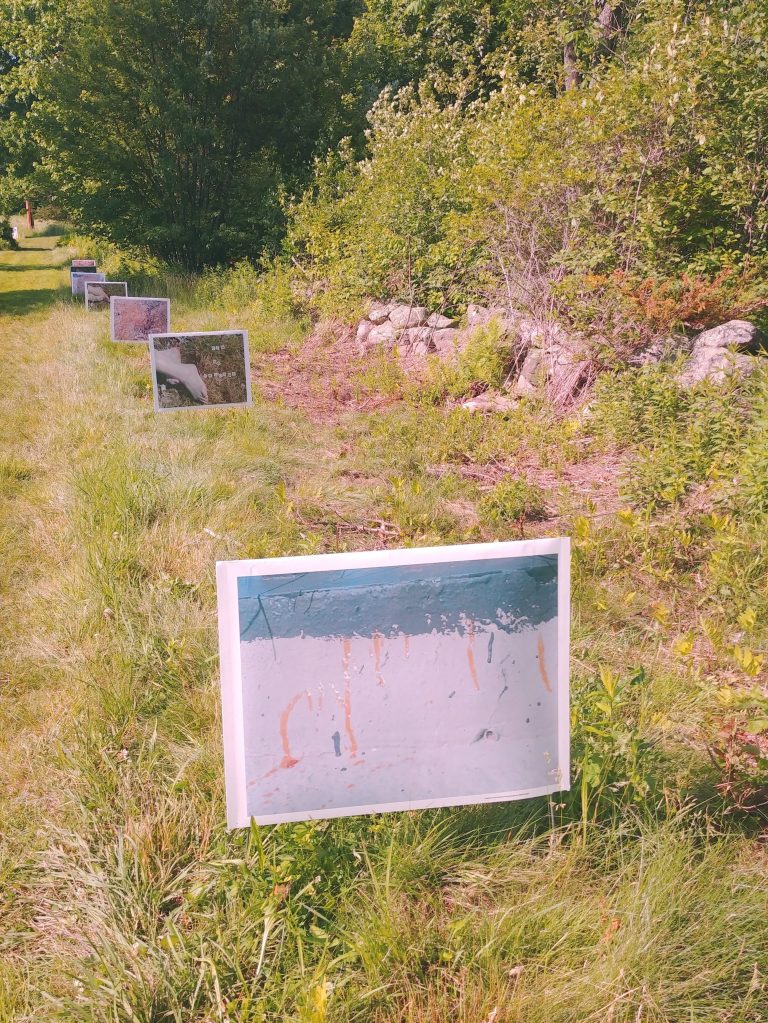 A series of 7 lawn signs  meander along the side of a trail in the Beals Preserve. 